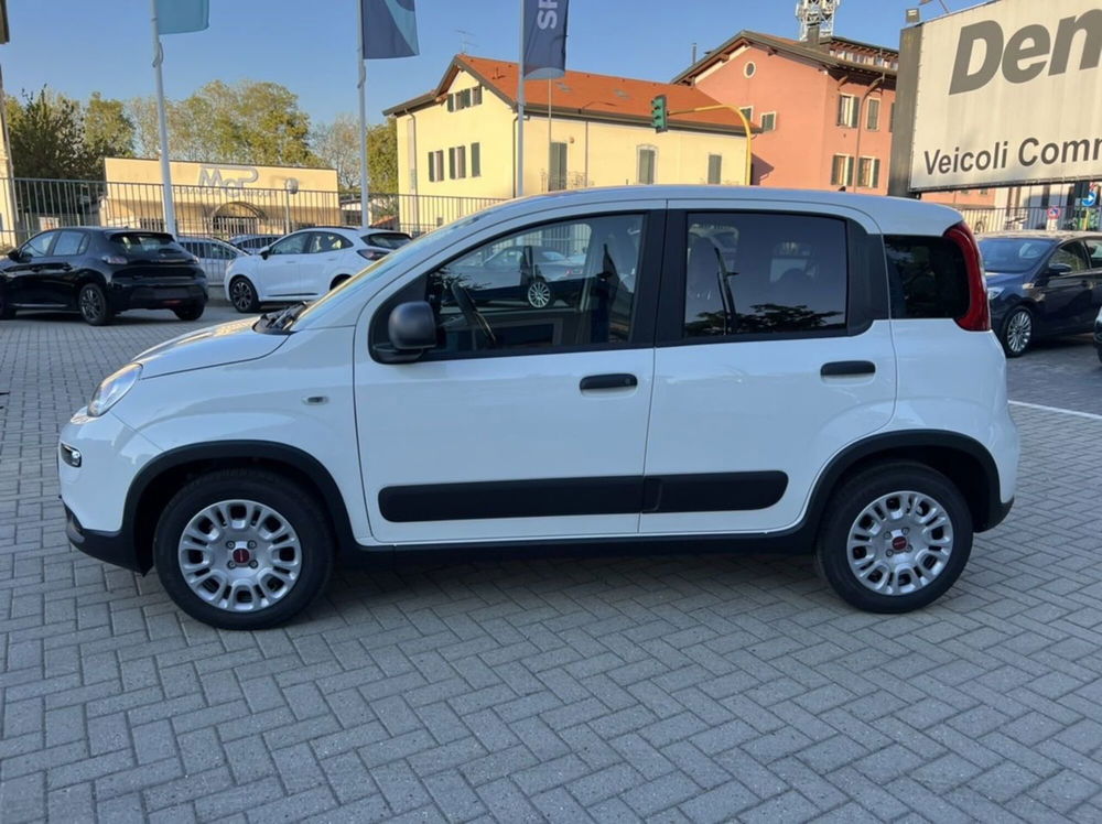 Fiat Panda nuova a Milano (4)