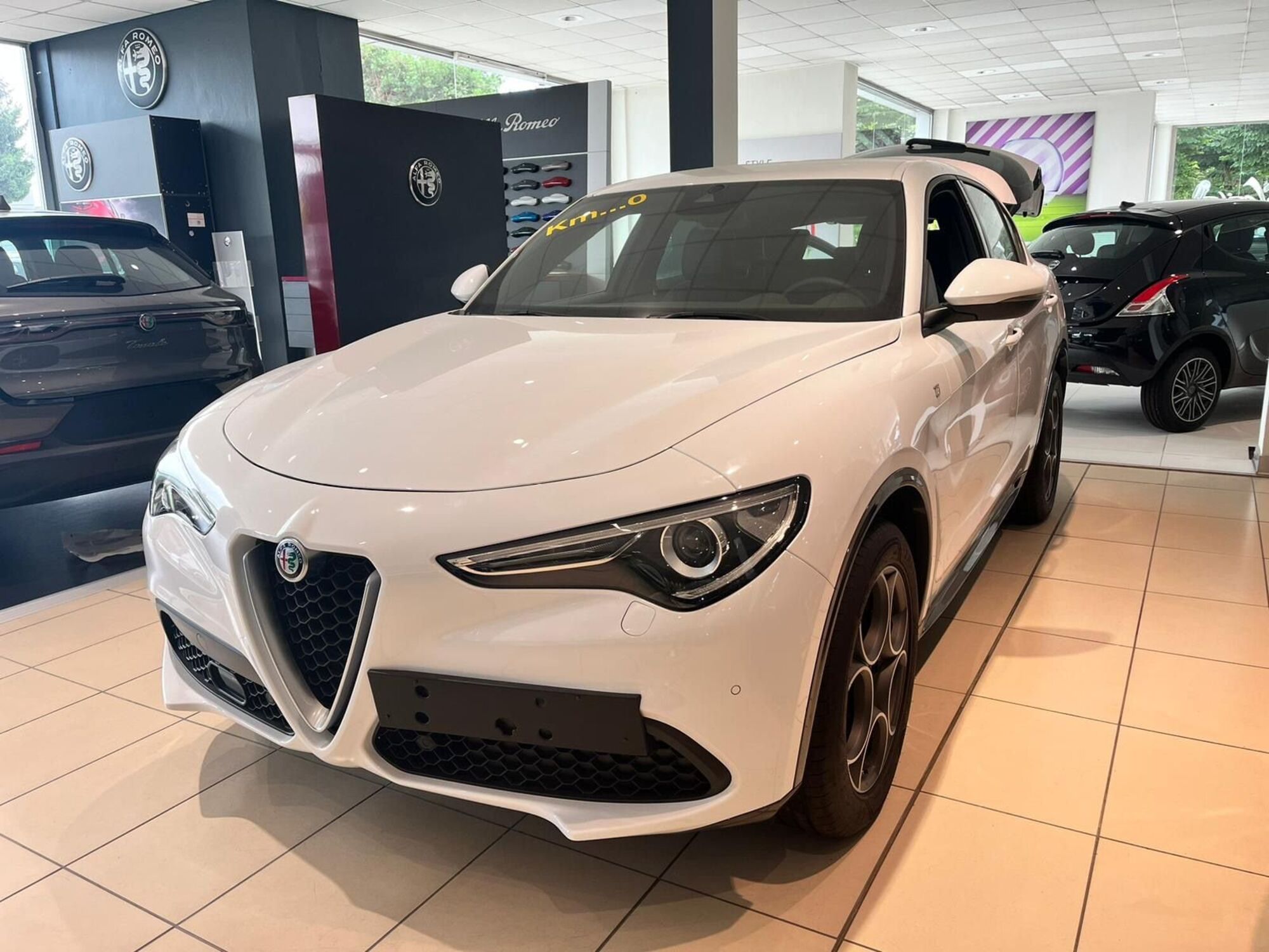 Alfa Romeo Stelvio Stelvio 2.0 Turbo 280 CV AT8 Q4 Ti  nuova a Milano