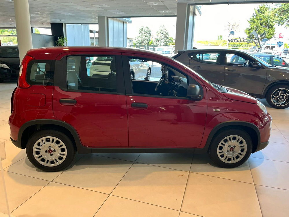 Fiat Panda Cross nuova a Milano (5)