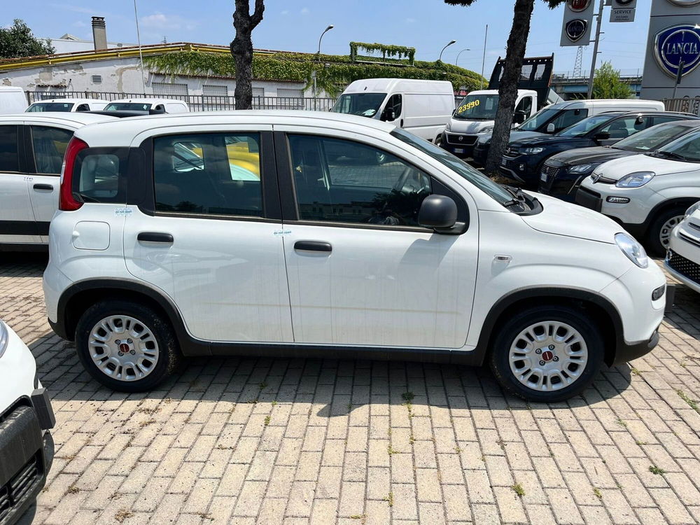 Fiat Panda Cross nuova a Milano (5)