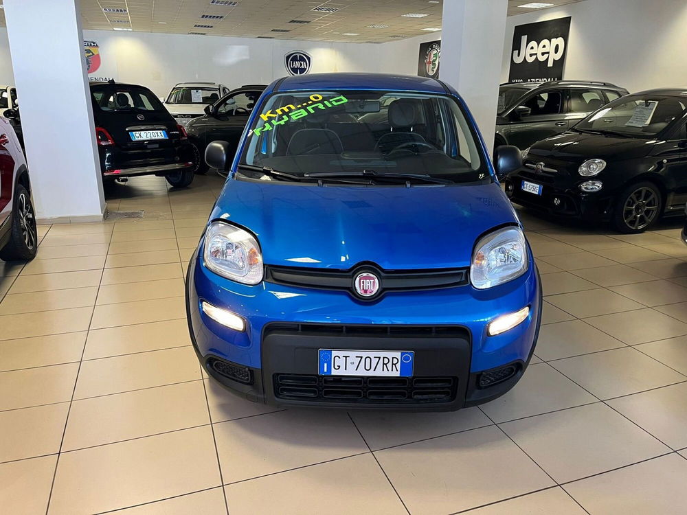 Fiat Panda Cross nuova a Milano (2)