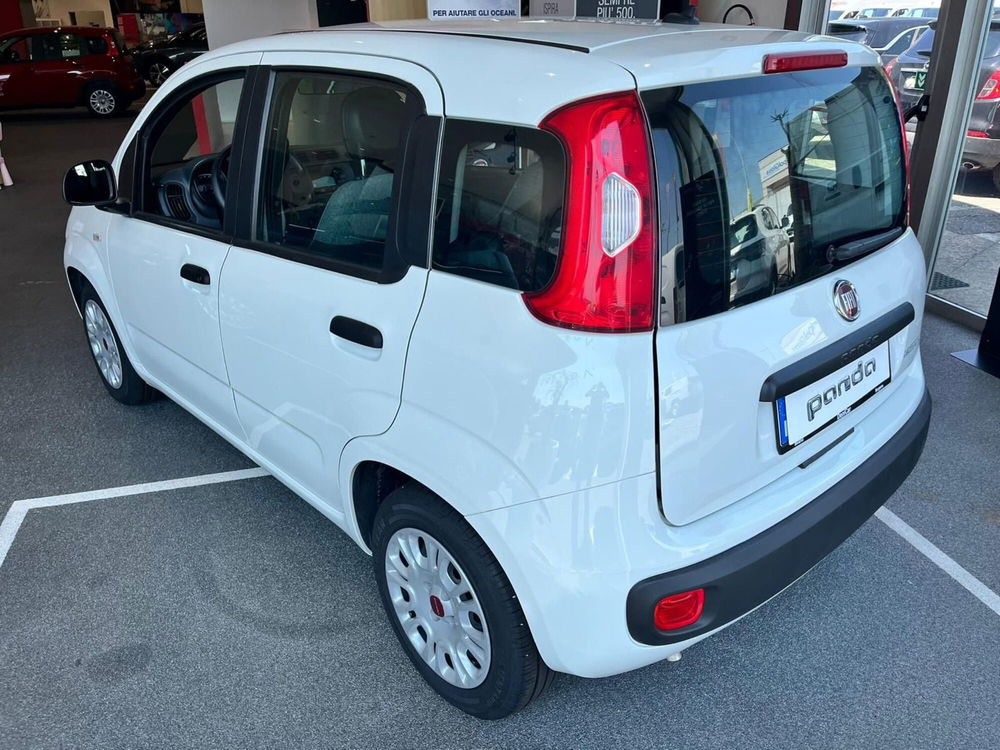 Fiat Panda Cross usata a Milano (6)