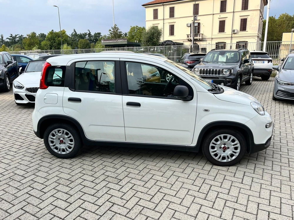 Fiat Panda Cross usata a Milano (5)