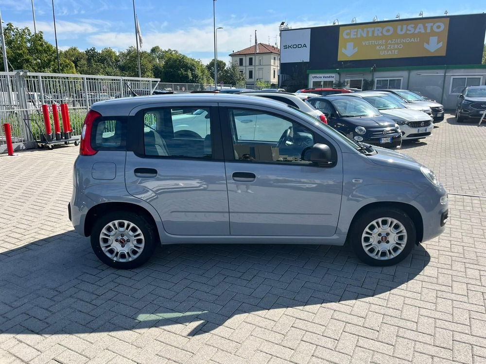 Fiat Panda usata a Milano (5)