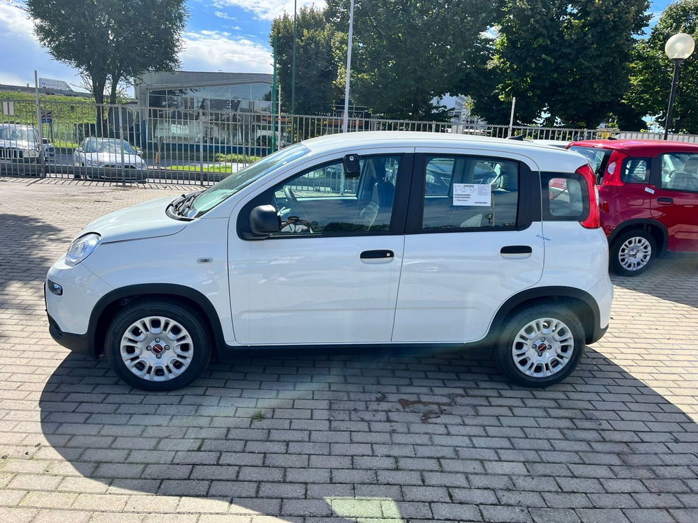 Fiat Panda Cross nuova a Milano (3)