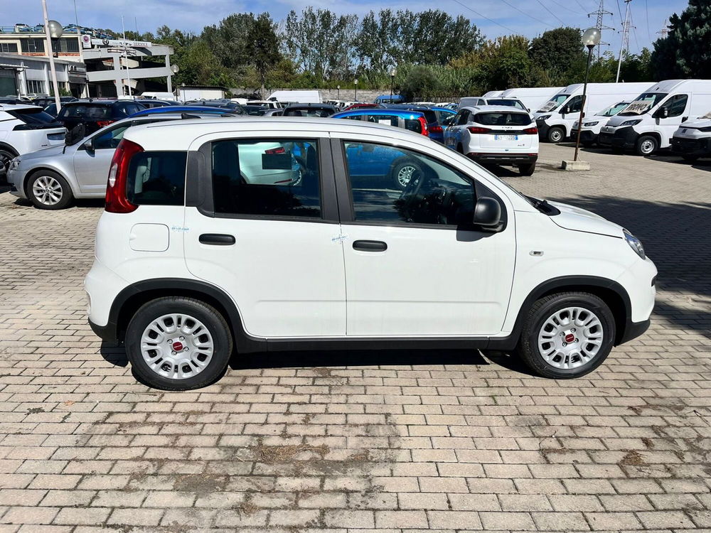 Fiat Panda Cross nuova a Milano (4)