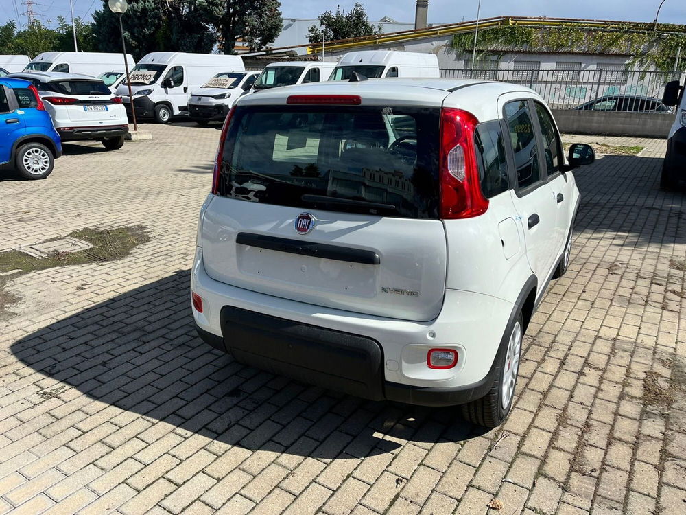 Fiat Panda Cross nuova a Milano (6)