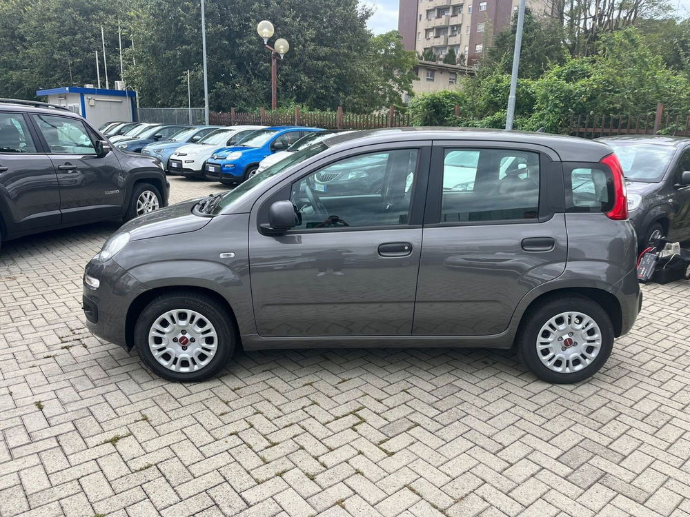 Fiat Panda Cross usata a Milano (4)