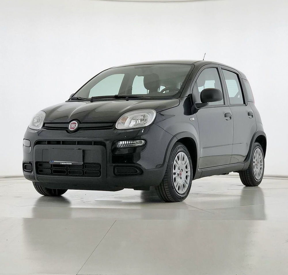 Fiat Panda Cross usata a Perugia