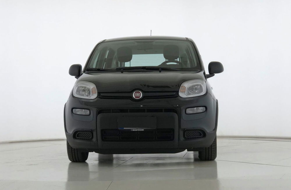 Fiat Panda Cross usata a Perugia (2)