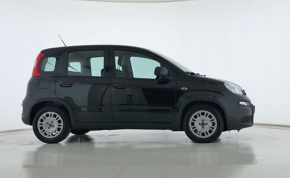 Fiat Panda Cross usata a Perugia (4)