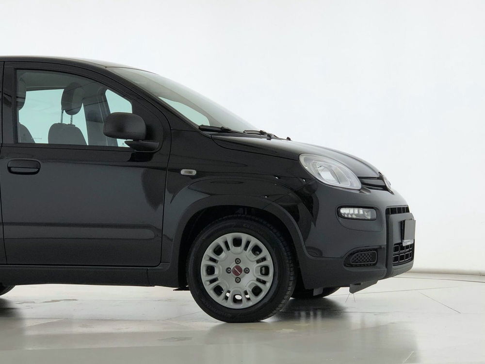 Fiat Panda usata a Perugia (6)