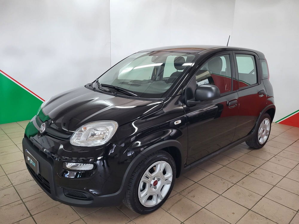 Fiat Panda Cross usata a Arezzo