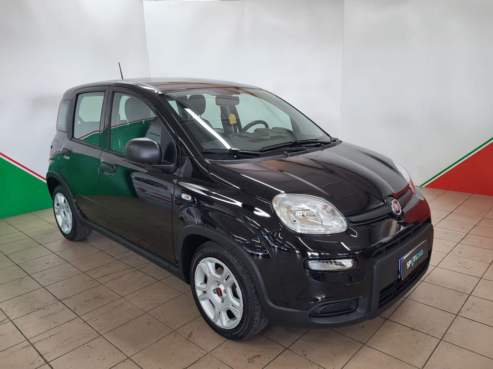 Fiat Panda Cross usata a Arezzo (2)