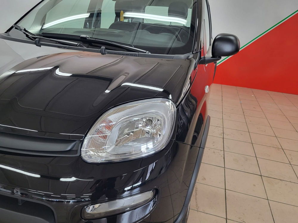 Fiat Panda Cross usata a Arezzo (4)