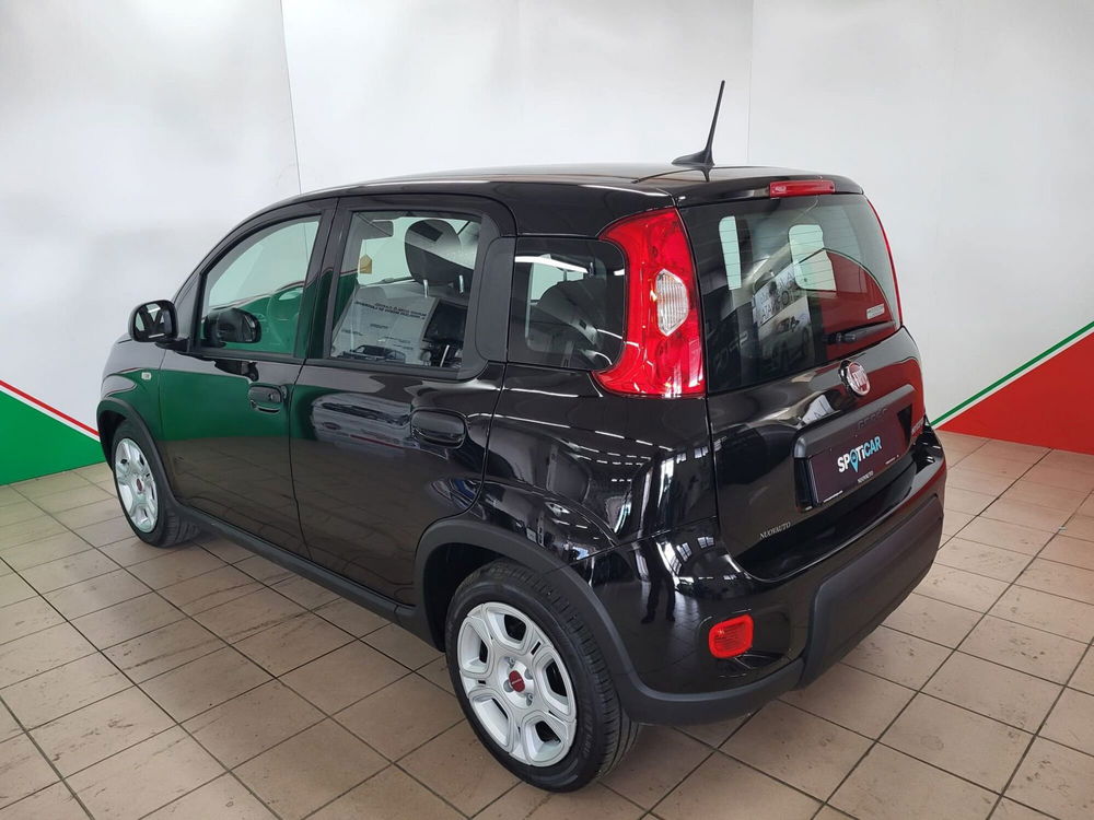 Fiat Panda Cross usata a Arezzo (5)