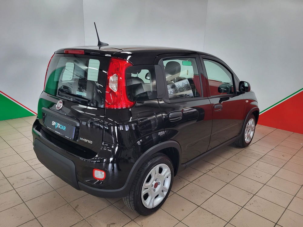 Fiat Panda Cross usata a Arezzo (6)