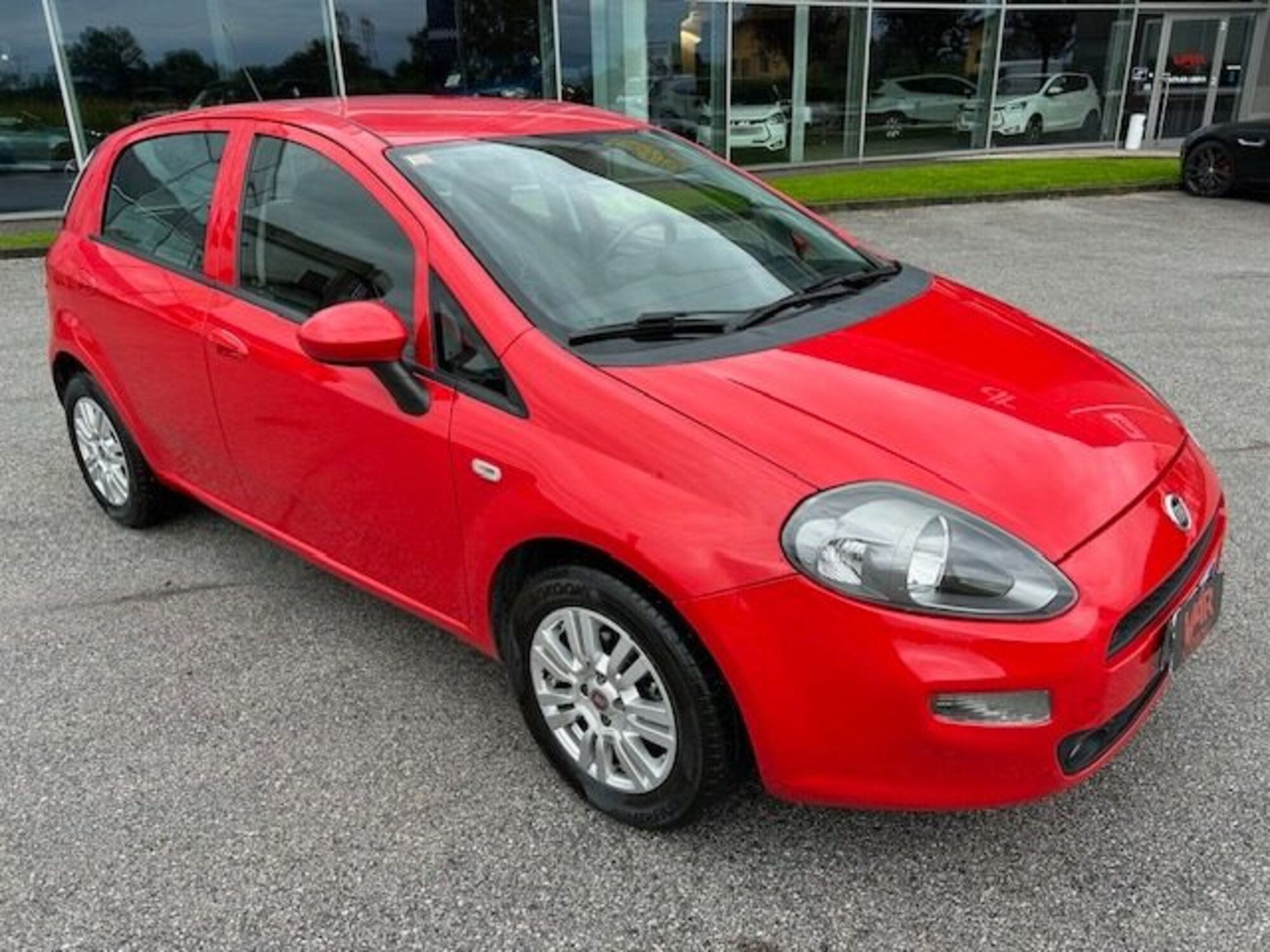 Fiat Punto 1.2 8V 5 porte Street  del 2015 usata a Beinette