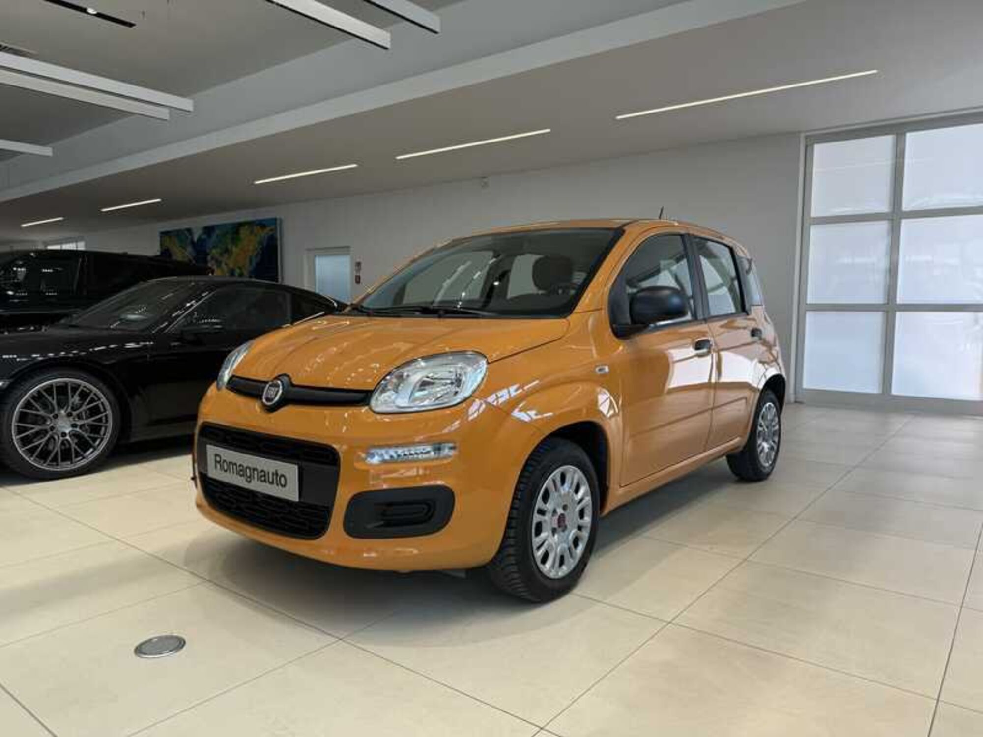 Fiat Panda 1.2 Easy  del 2020 usata a Forli&#039;