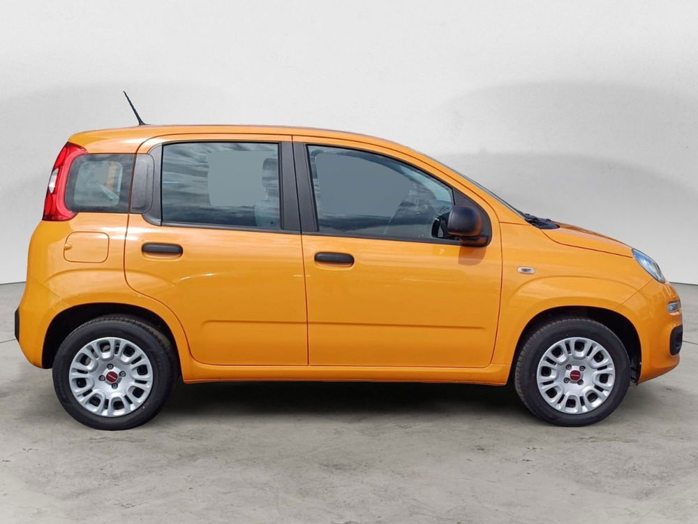 Fiat Panda usata a Bari (5)