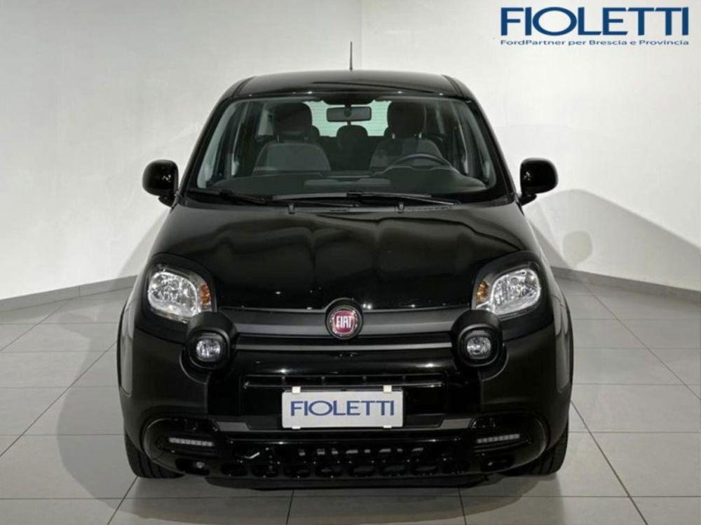 Fiat Panda Cross usata a Brescia (3)