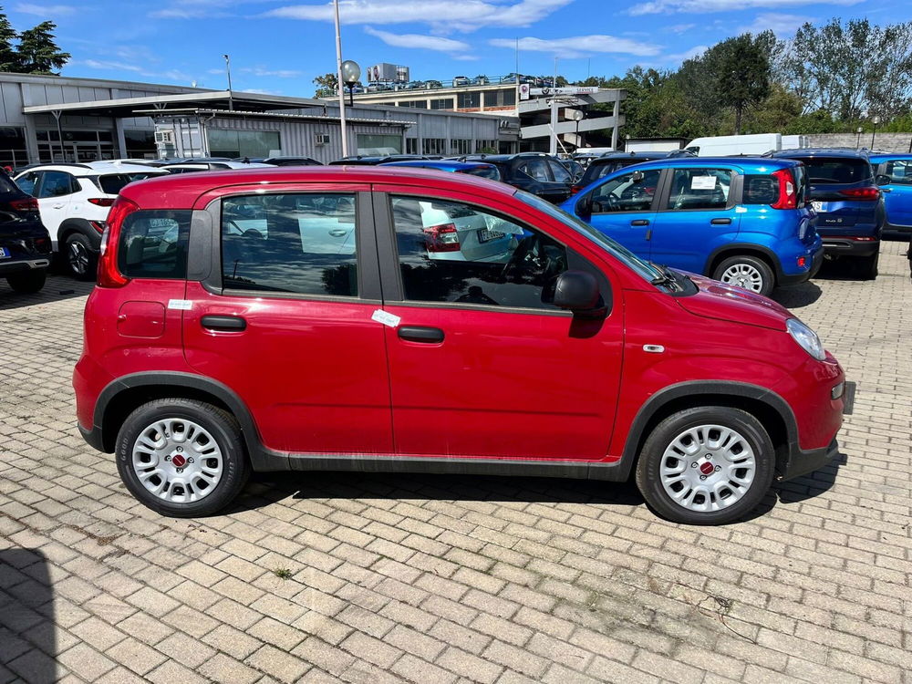 Fiat Panda Cross nuova a Milano (4)