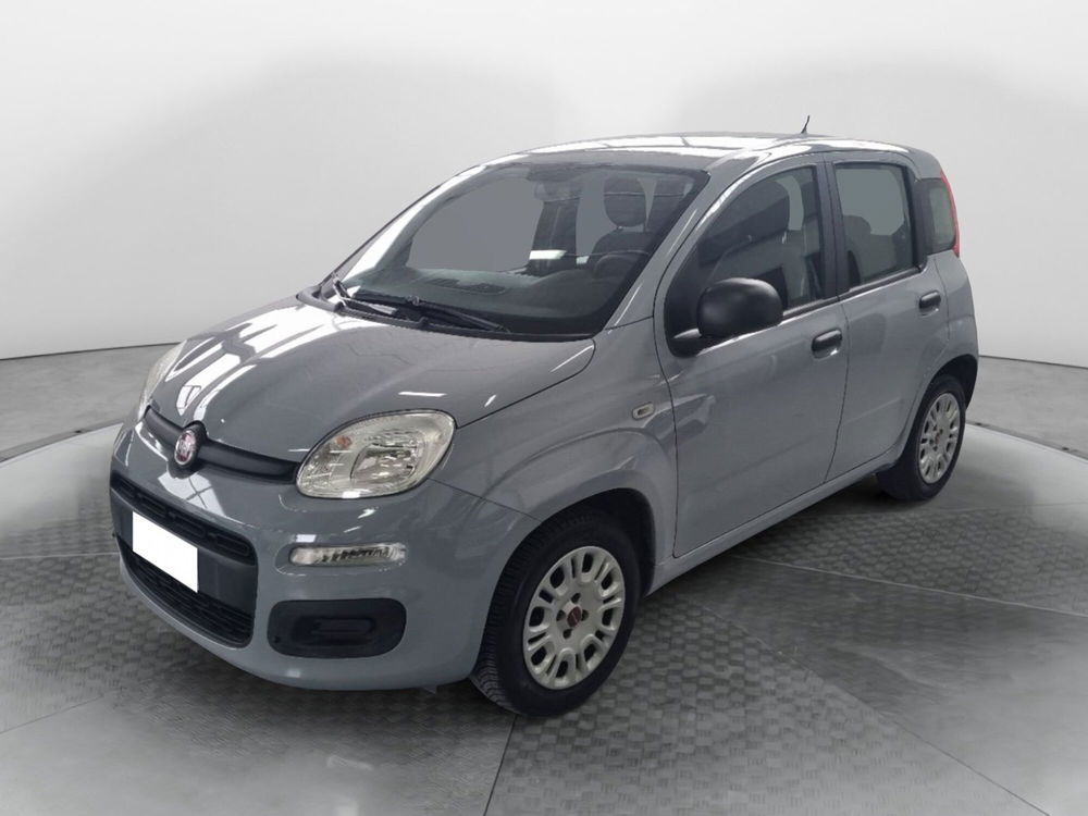 Fiat Panda usata a Firenze