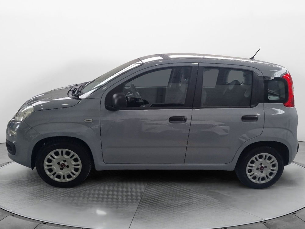 Fiat Panda usata a Firenze (2)