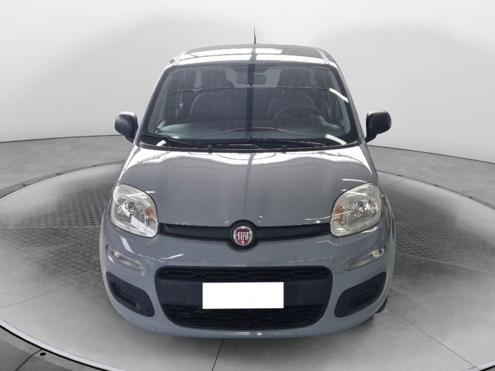 Fiat Panda usata a Firenze (3)