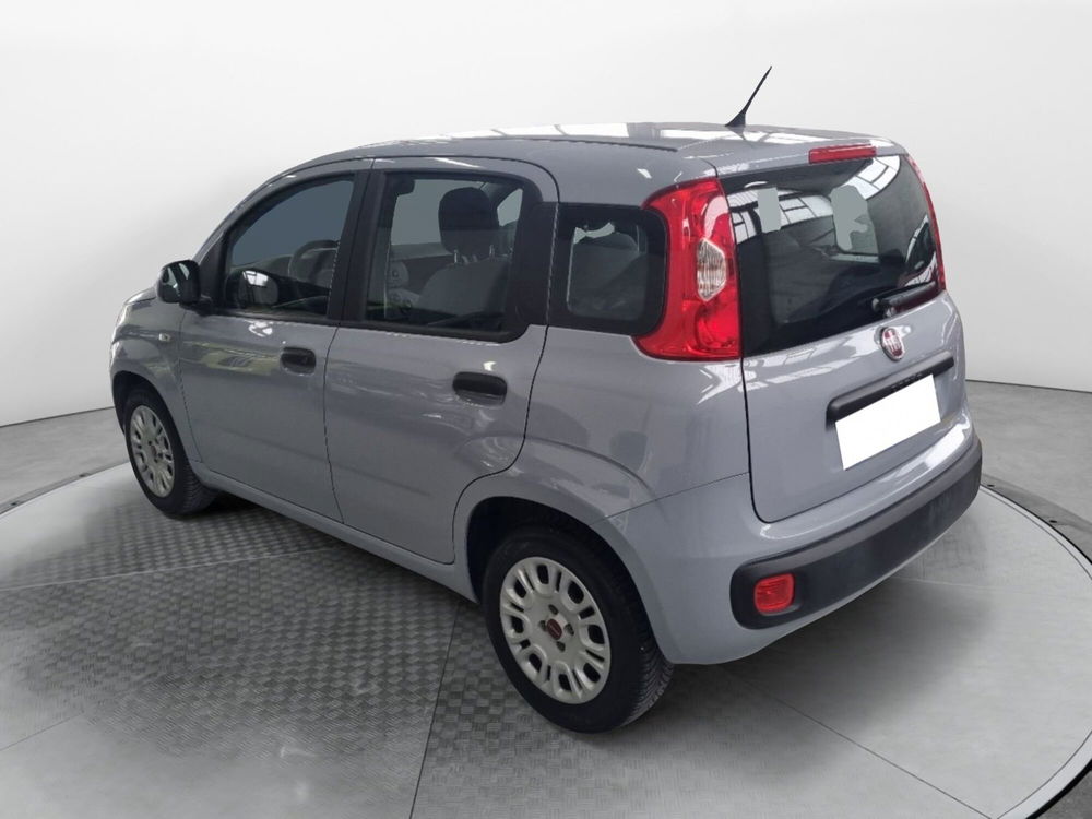 Fiat Panda usata a Firenze (5)