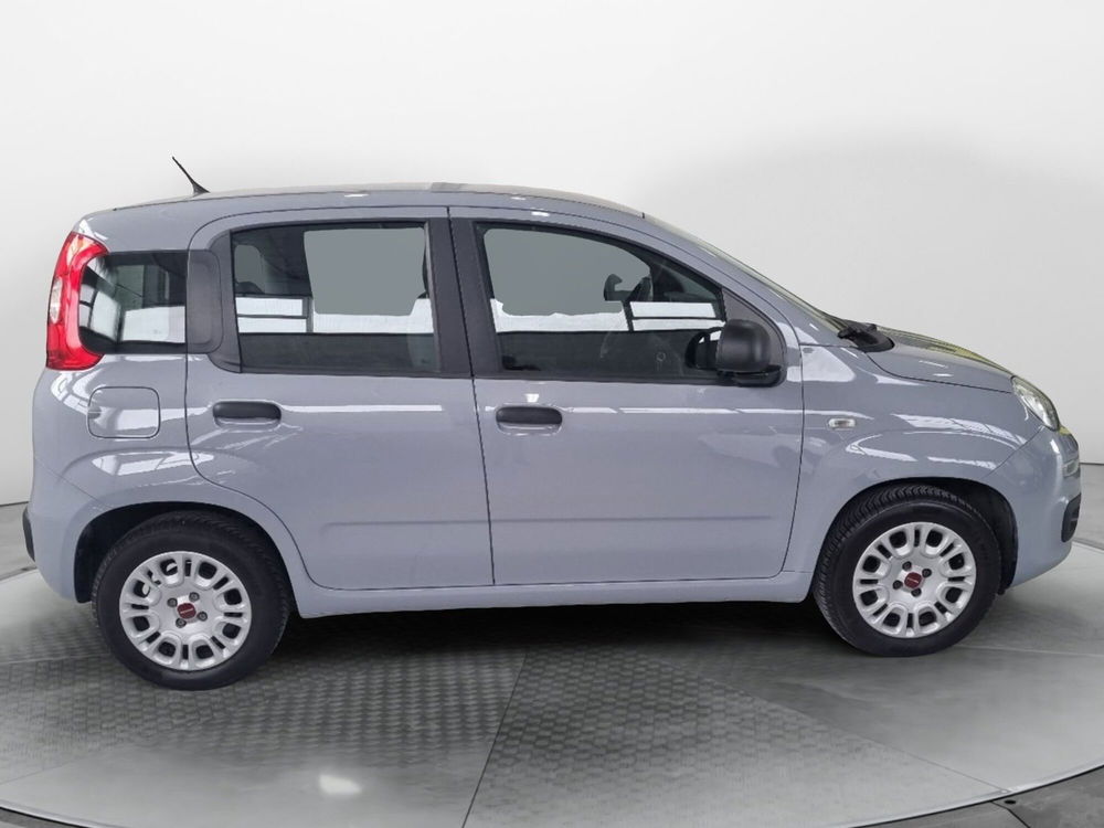 Fiat Panda usata a Firenze (7)