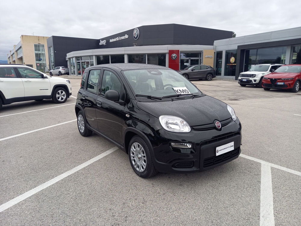 Fiat Panda Cross nuova a Ancona (2)