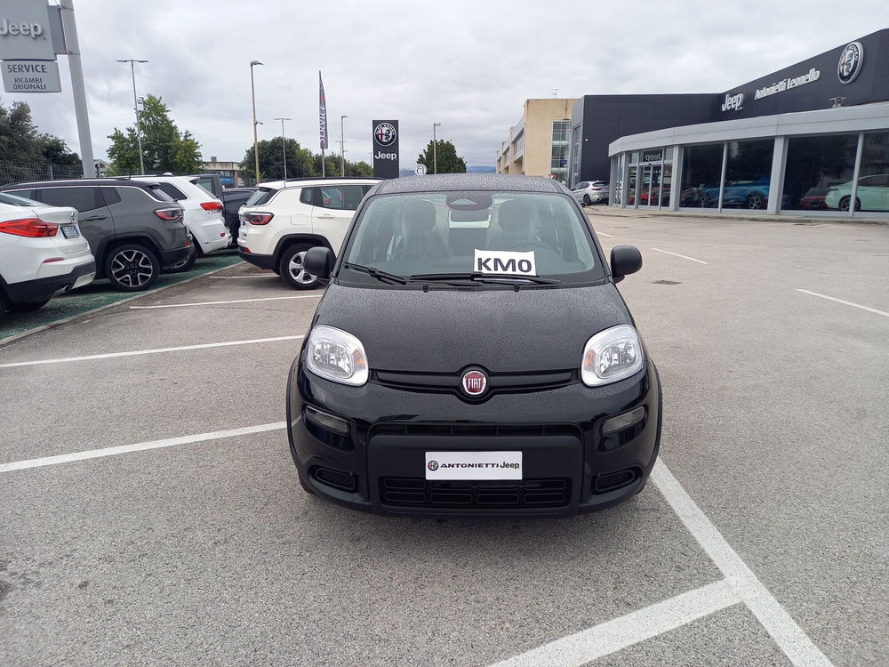 Fiat Panda Cross nuova a Ancona (3)