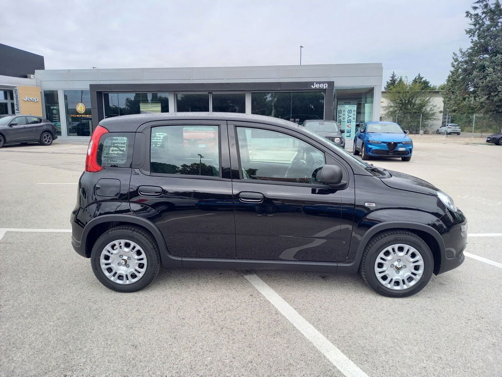 Fiat Panda Cross nuova a Ancona (4)