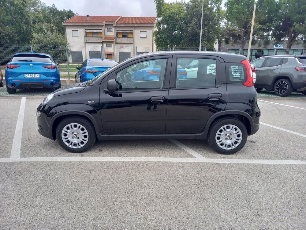 Fiat Panda Cross nuova a Ancona (5)