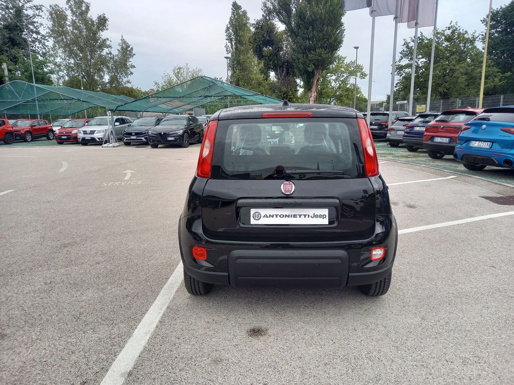 Fiat Panda Cross nuova a Ancona (6)