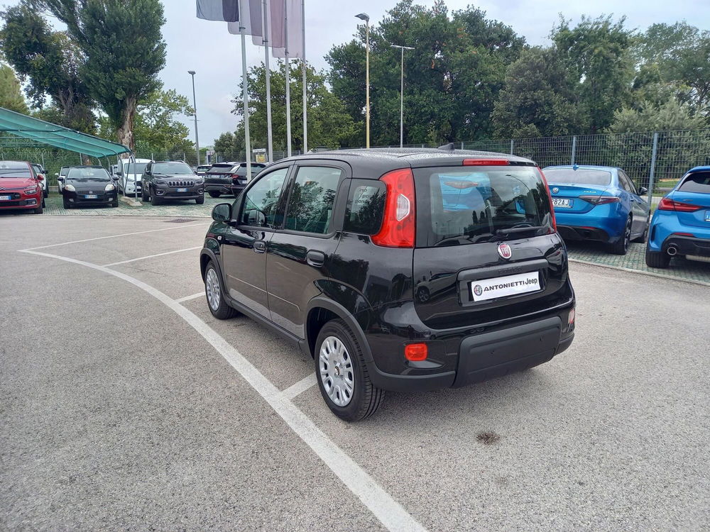 Fiat Panda Cross nuova a Ancona (7)