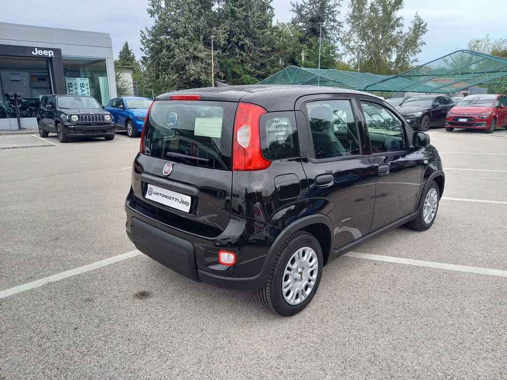 Fiat Panda Cross nuova a Ancona (8)