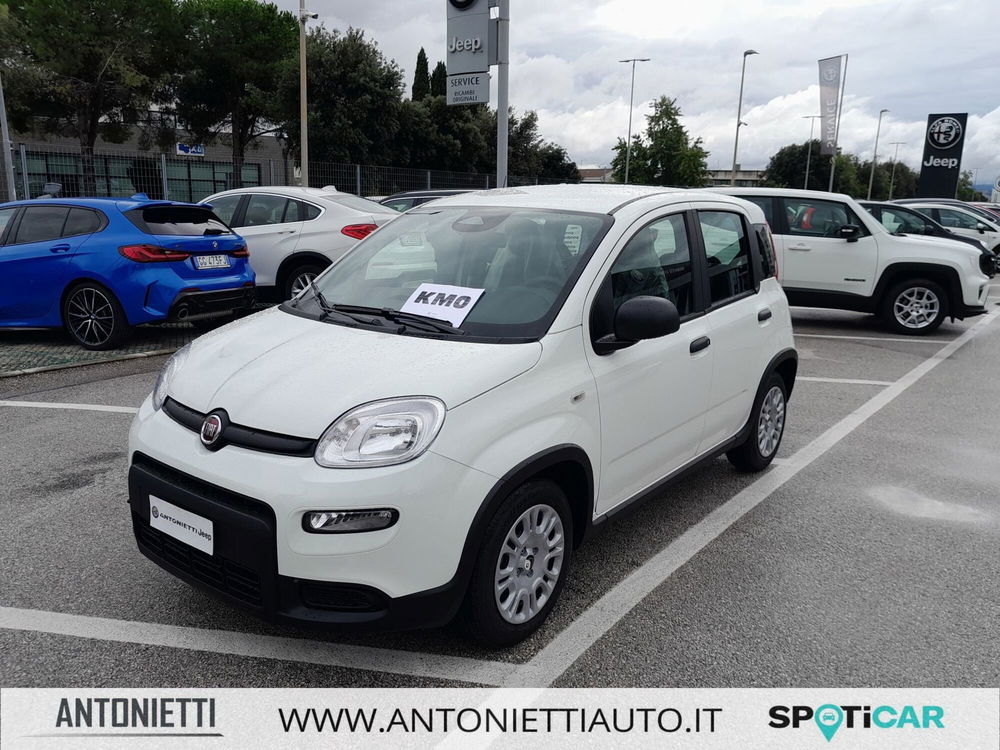 Fiat Panda nuova a Ancona