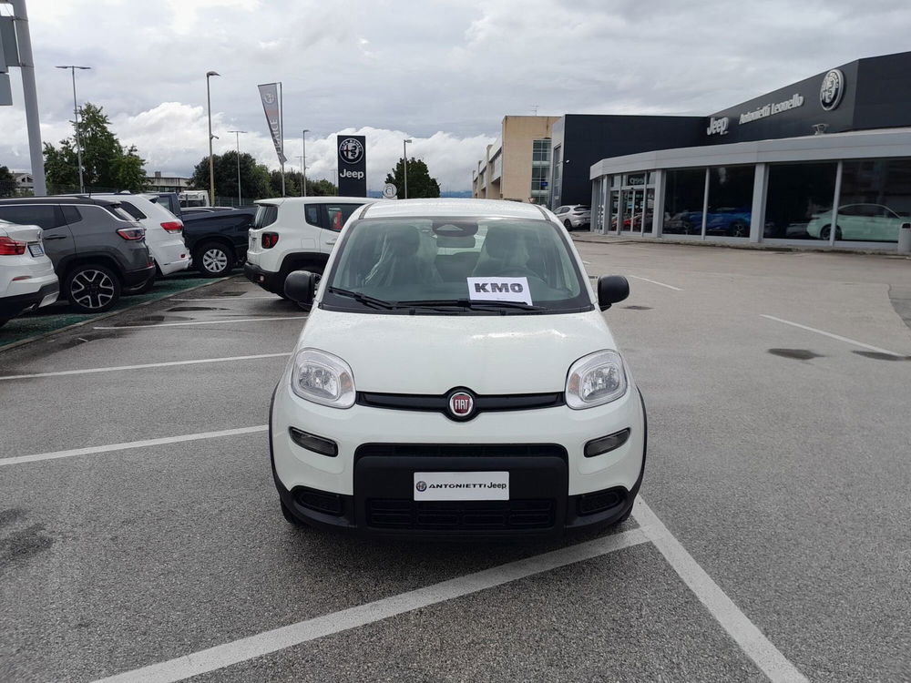 Fiat Panda nuova a Ancona (2)