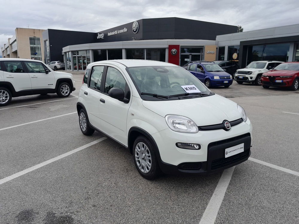 Fiat Panda nuova a Ancona (3)