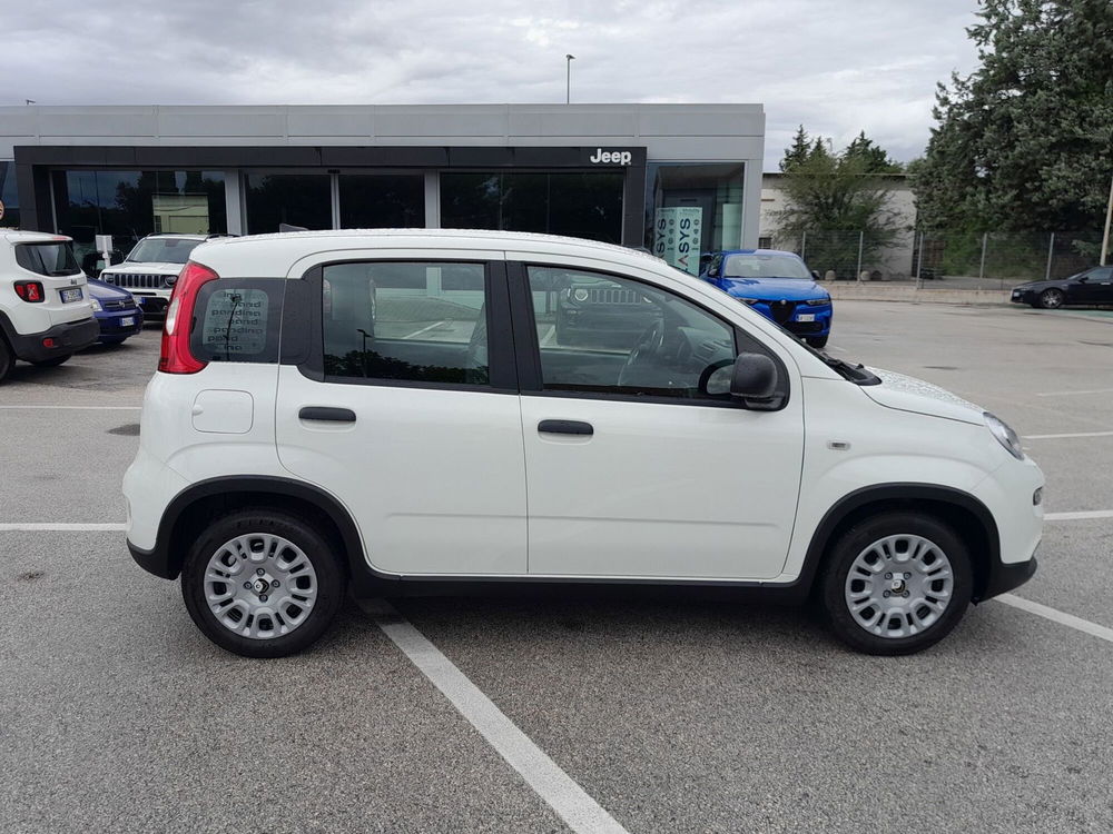 Fiat Panda Cross nuova a Ancona (4)