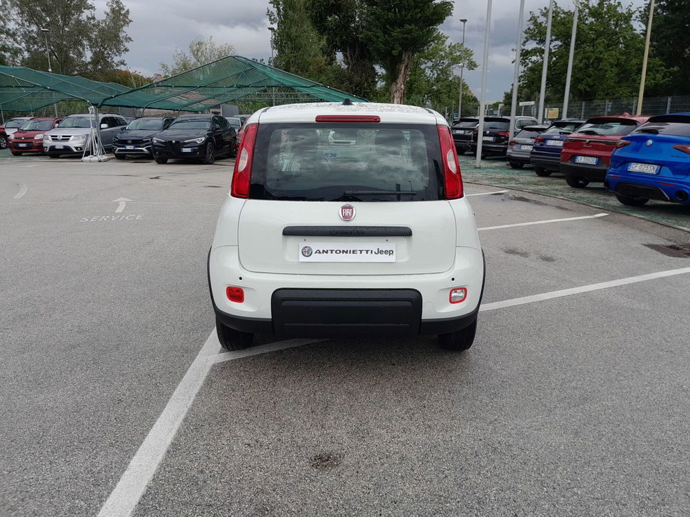 Fiat Panda nuova a Ancona (5)