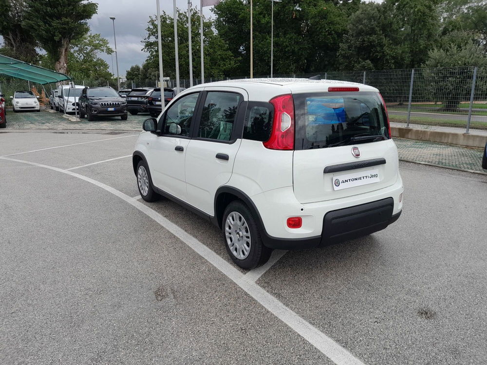 Fiat Panda Cross nuova a Ancona (6)