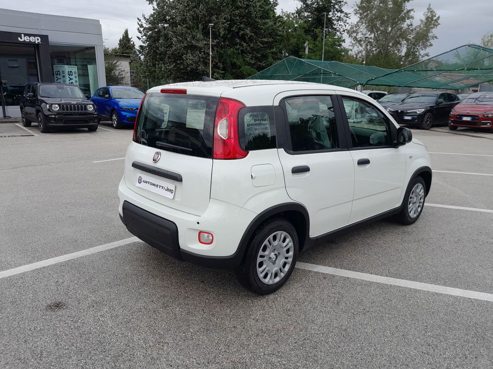 Fiat Panda Cross nuova a Ancona (7)