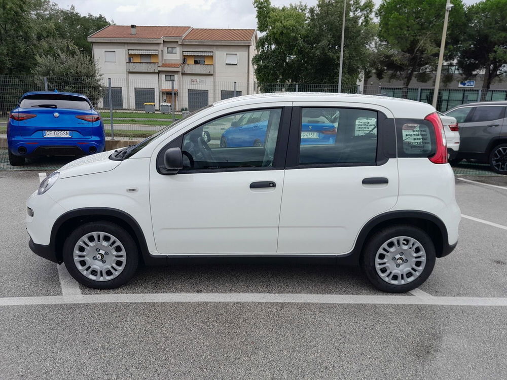 Fiat Panda nuova a Ancona (8)