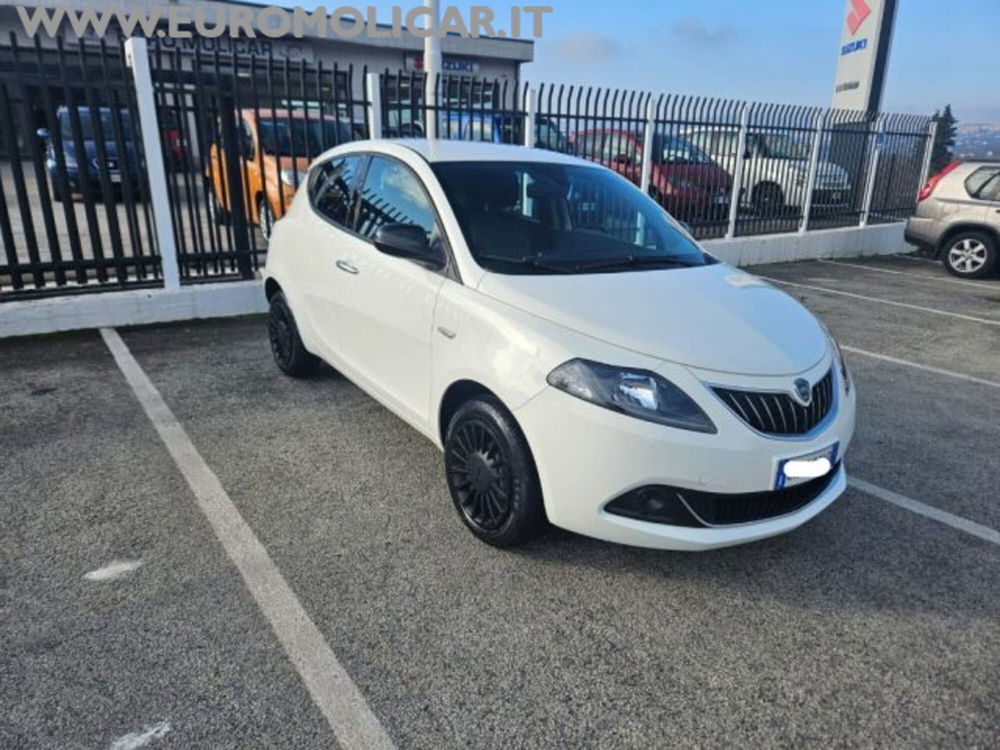 Lancia Ypsilon usata a Campobasso (5)