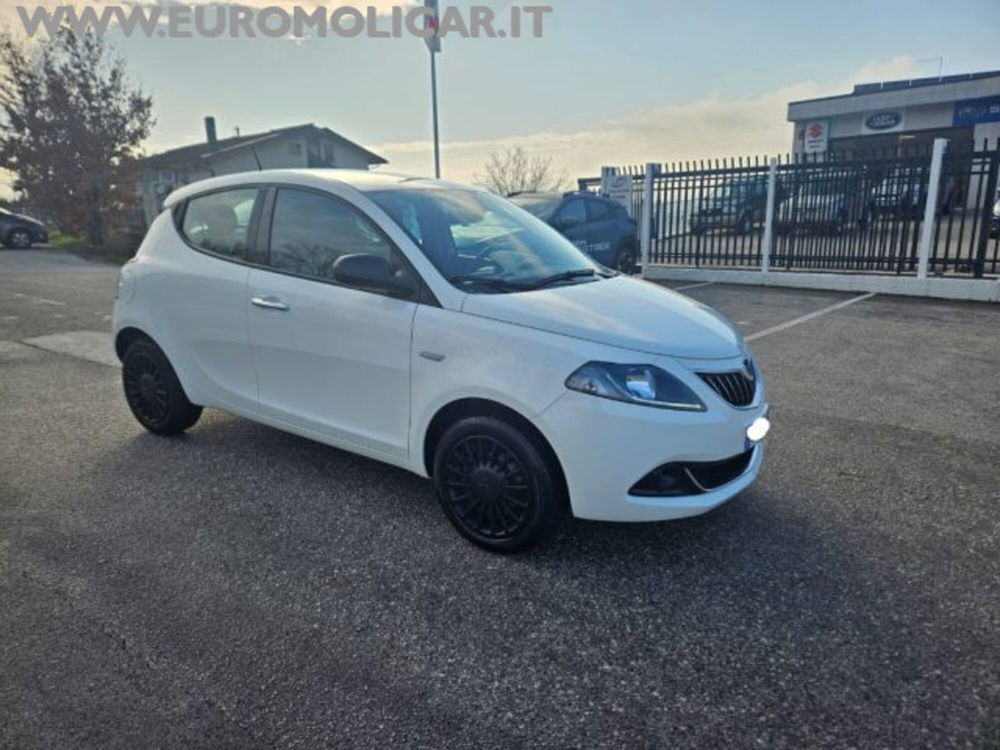 Lancia Ypsilon usata a Campobasso (9)