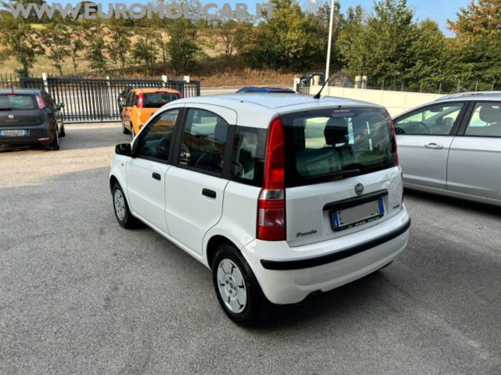 Fiat Panda usata a Campobasso (9)