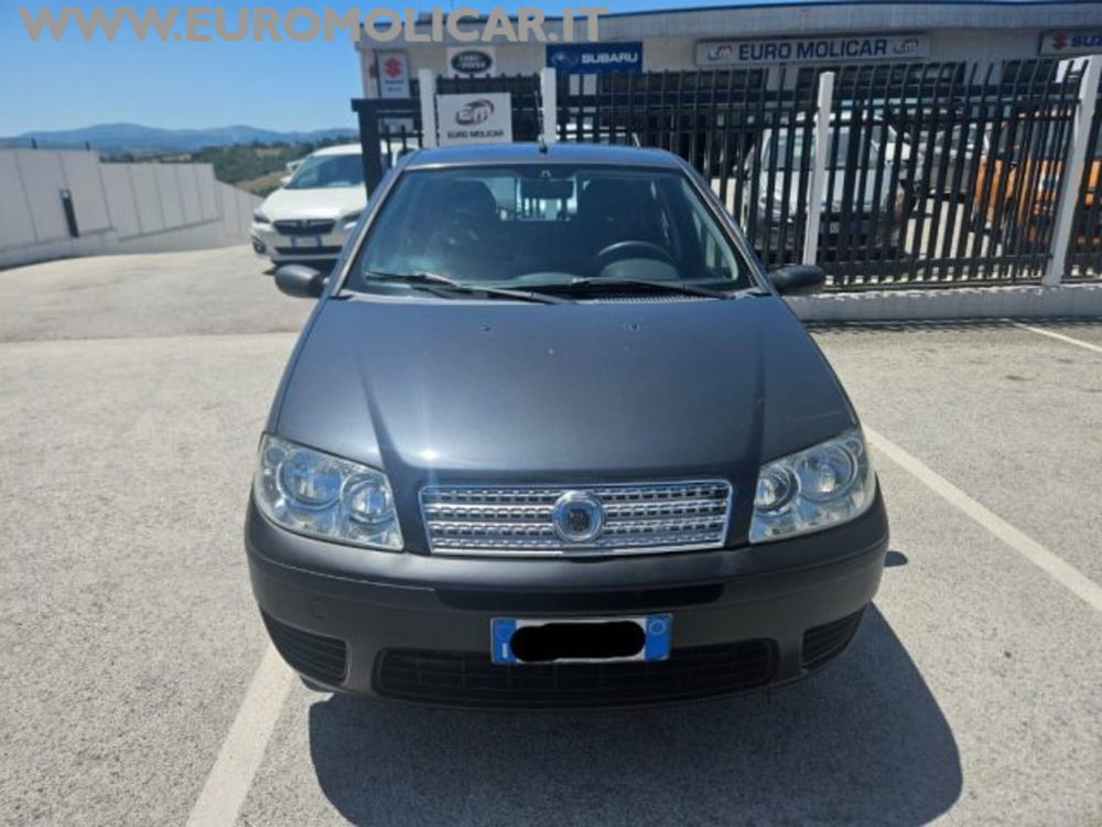 Fiat Punto Classic usata a Campobasso (13)